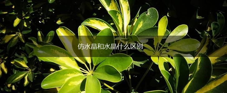 仿水晶和水晶什么区别,第1张