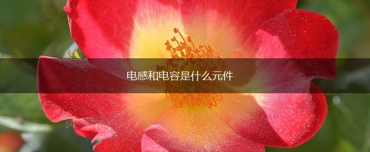 电感和电容是什么元件,第1张