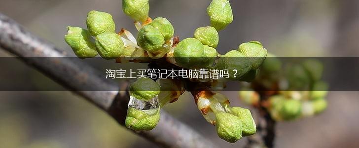 淘宝上买笔记本电脑靠谱吗？,第1张