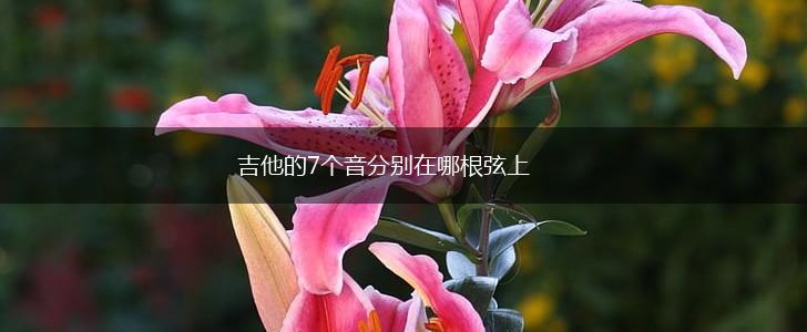 吉他的7个音分别在哪根弦上,第1张