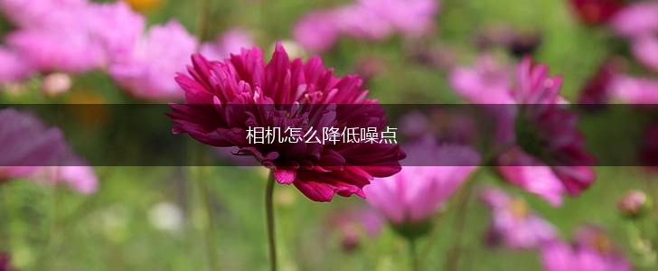 相机怎么降低噪点,第1张