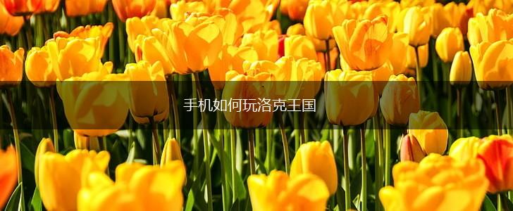 手机如何玩洛克王国,第1张 手机如何玩洛克王国,第1张