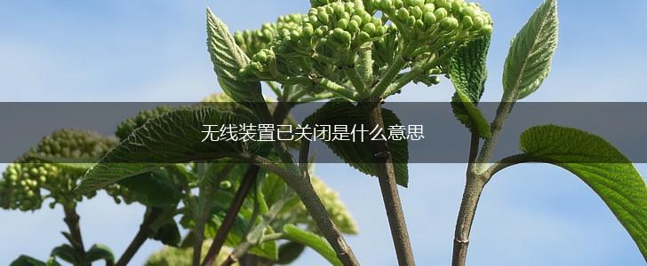 无线装置已关闭是什么意思,第1张