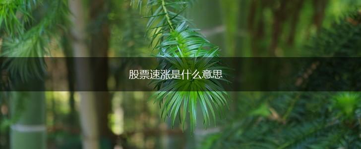 股票速涨是什么意思,第1张