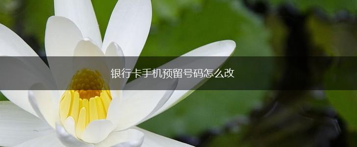 银行卡手机预留号码怎么改,第1张 银行卡手机预留号码怎么改,第1张