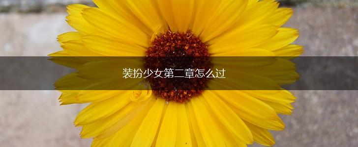 装扮少女第二章怎么过,第1张