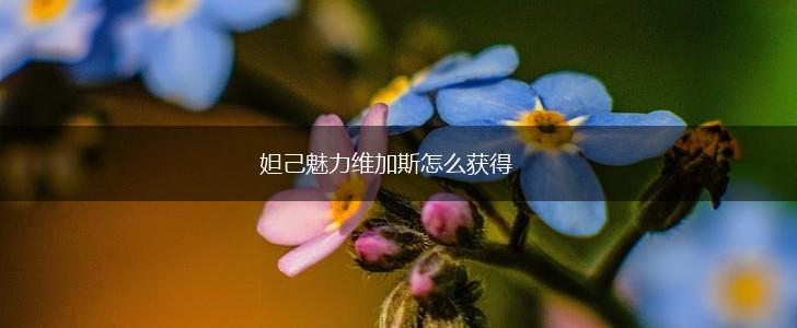 妲己魅力维加斯怎么获得,第1张