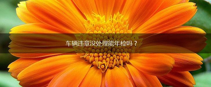 车辆违章没处理能年检吗？,第1张