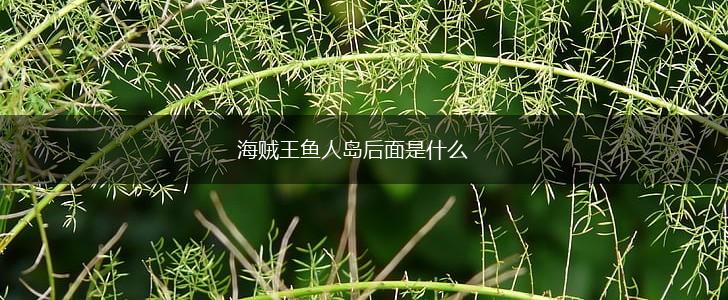 海贼王鱼人岛后面是什么,第1张 海贼王鱼人岛后面是什么,第1张