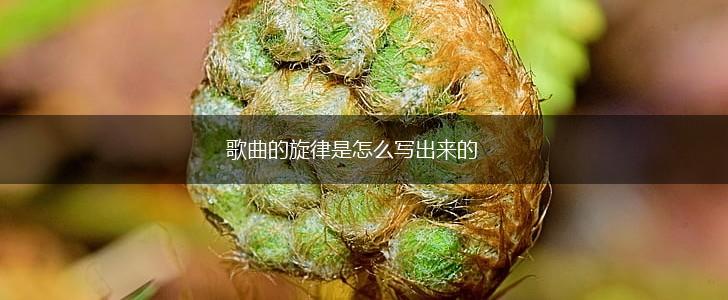 歌曲的旋律是怎么写出来的,第1张