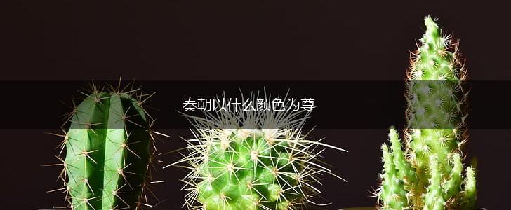 秦朝以什么颜色为尊,第1张