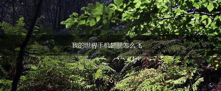 我的世界手机翅膀怎么飞,第1张