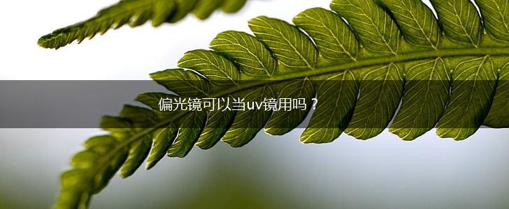 偏光镜可以当uv镜用吗？,第1张
