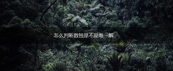怎么判断数独是不是唯一解,第1张