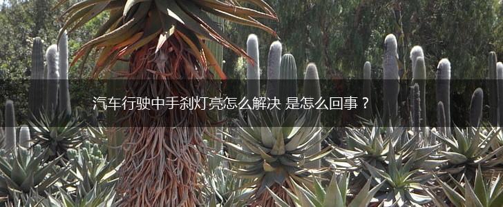汽车行驶中手刹灯亮怎么解决 是怎么回事？,第1张