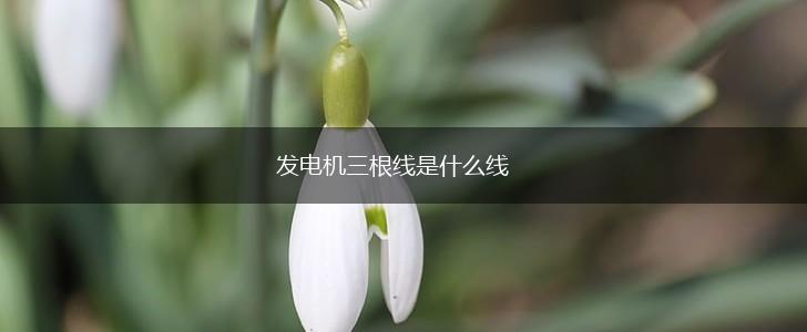 发电机三根线是什么线,第1张