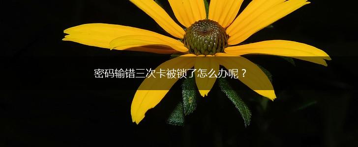 密码输错三次卡被锁了怎么办呢？,第1张