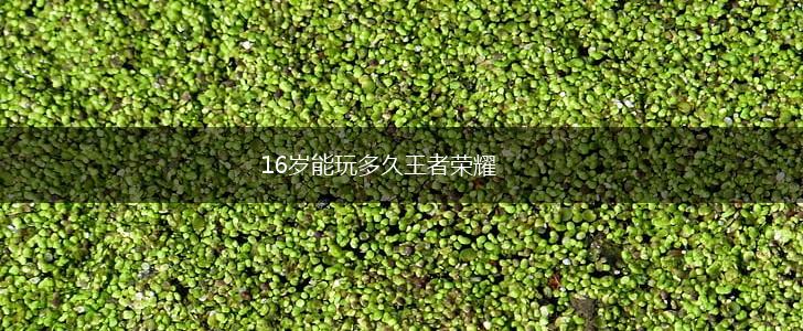 16岁能玩多久王者荣耀,第1张