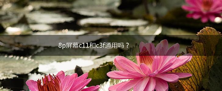 8p屏幕c11和c3f通用吗？,第1张