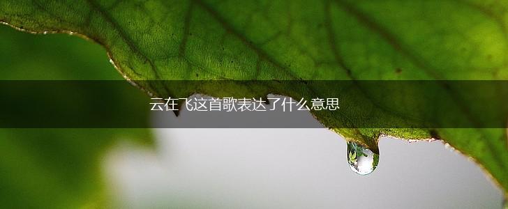 云在飞这首歌表达了什么意思,第1张
