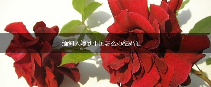 缅甸人嫁到中国怎么办结婚证,第1张