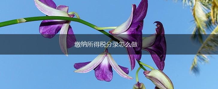 缴纳所得税分录怎么做,第1张