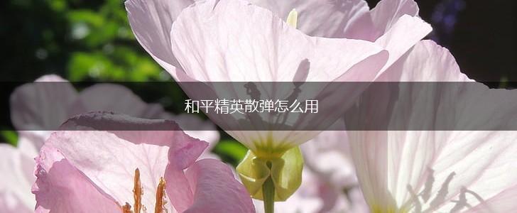 和平精英散弹怎么用,第1张