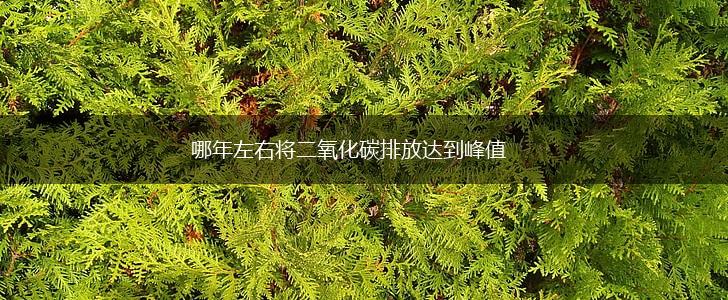 哪年左右将二氧化碳排放达到峰值,第1张