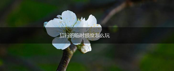 招行的临时额度怎么玩,第1张