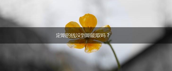 定期的钱没到期能取吗？,第1张