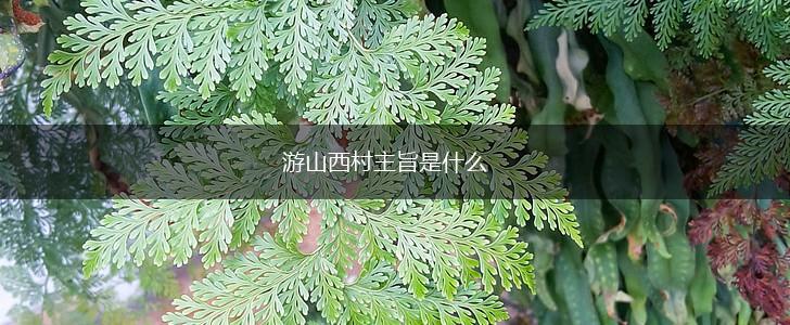 游山西村主旨是什么,第1张