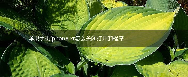 苹果手机iphone xr怎么关闭打开的程序,第1张