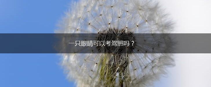 一只眼睛可以考驾照吗？,第1张