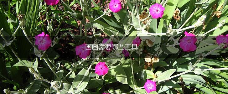 画画需要哪些工具,第1张