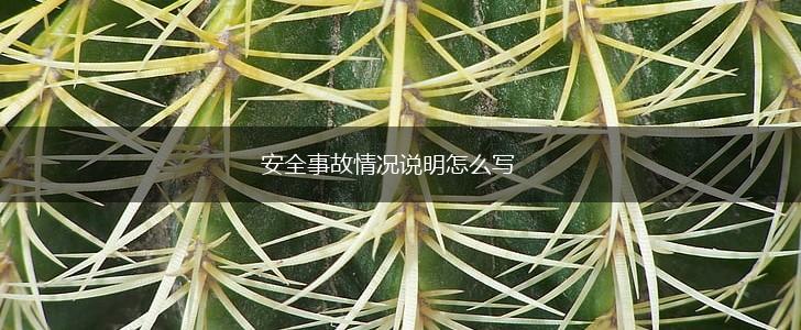 安全事故情况说明怎么写,第1张