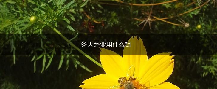 冬天路亚用什么饵,第1张