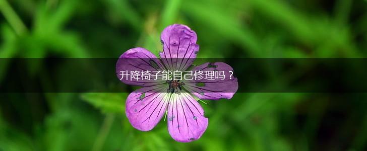 升降椅子能自己修理吗？,第1张