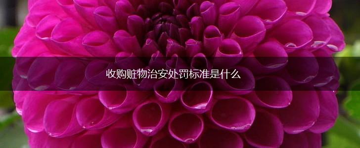 收购赃物治安处罚标准是什么,第1张