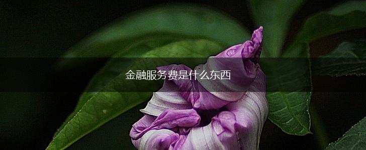 金融服务费是什么东西,第1张