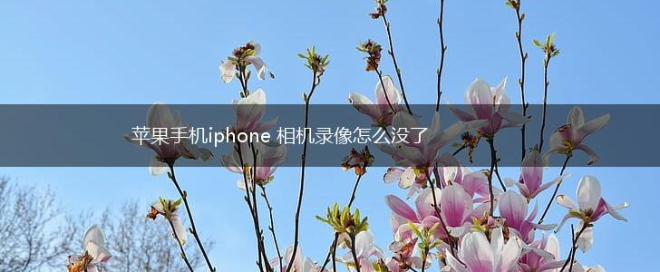 苹果手机iphone 相机录像怎么没了,第1张