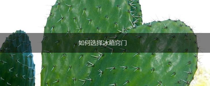 如何选择冰箱窍门,第1张