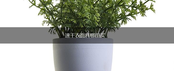 速干衣面料哪里买,第1张