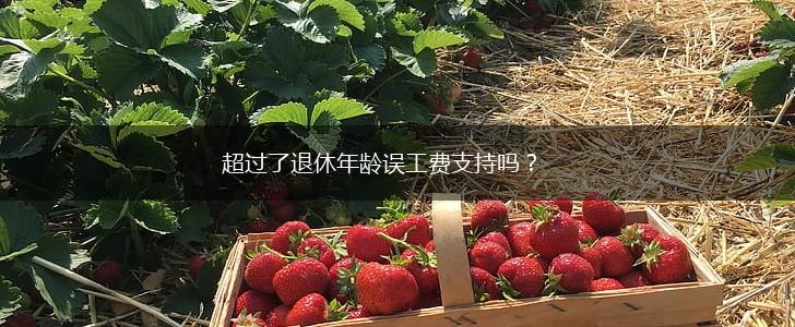 超过了退休年龄误工费支持吗？,第1张