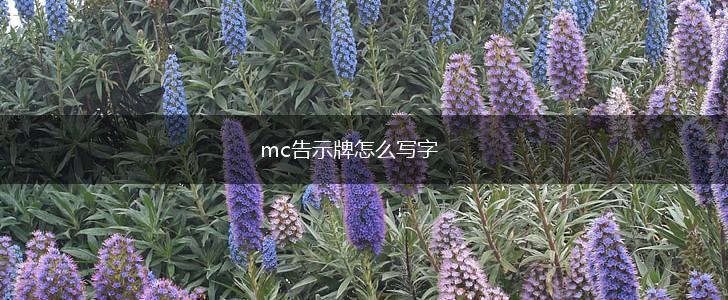 mc告示牌怎么写字,第1张