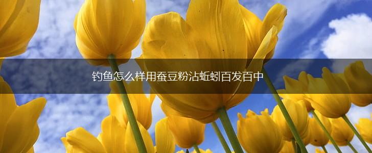 钓鱼怎么样用蚕豆粉沾蚯蚓百发百中,第1张