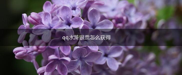 qq水浒银票怎么获得,第1张