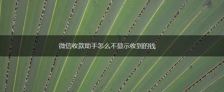 微信收款助手怎么不显示收到的钱,第1张