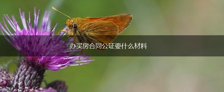 办买房合同公证要什么材料,第1张