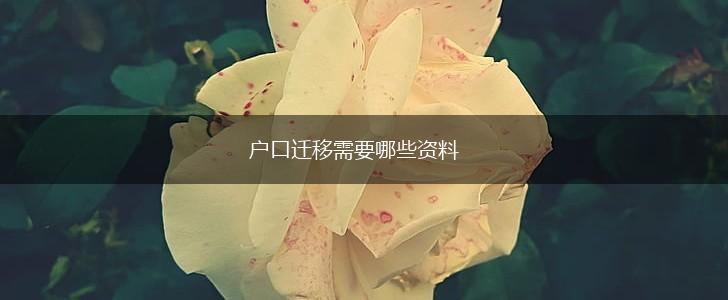 户口迁移需要哪些资料,第1张