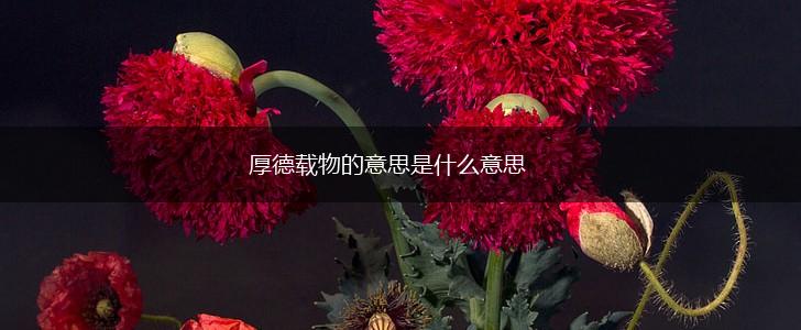 厚德载物的意思是什么意思,第1张